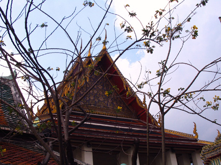 aIMG_0060
